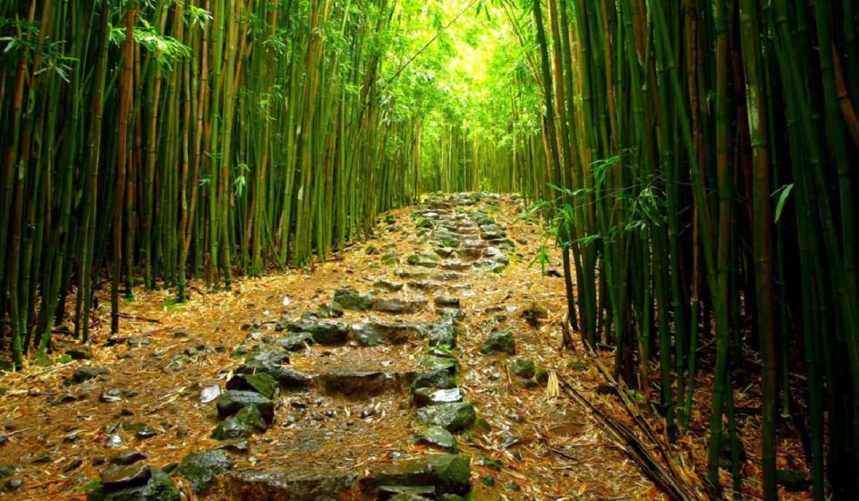 Maui: Hana Hiking Tour with Lunch - Seven Sacred Pools and Oheo Gulch: where the waterfalls steal the show