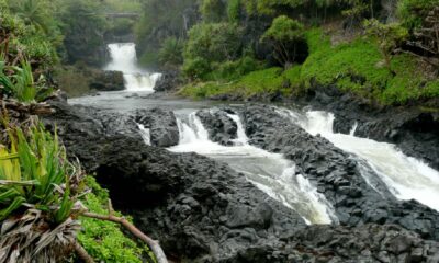 Maui: Hana Hiking Tour with Lunch - The national-park hike: 4.5 miles through rainforest