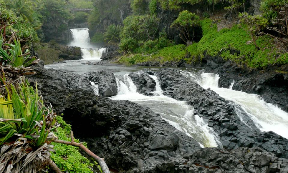 Maui: Hana Hiking Tour with Lunch - The national-park hike: 4.5 miles through rainforest