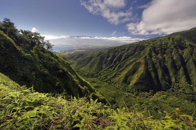 Maui Horseback Adventure at Circle M Ranch With Real Cowboys - Key reasons this ride is worth your time