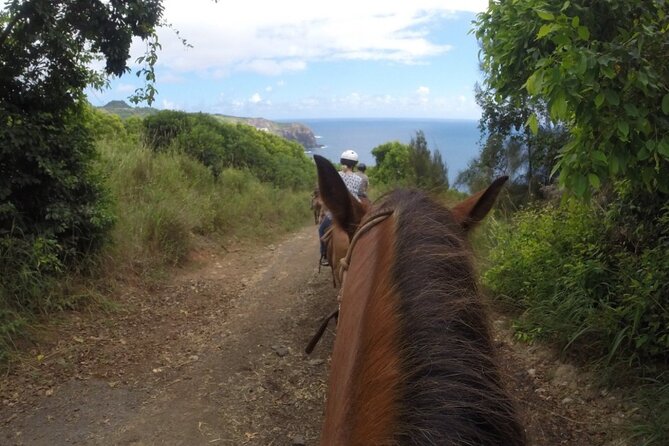 Maui Horseback Adventure at Circle M Ranch With Real Cowboys - What the views really feel like from the saddle