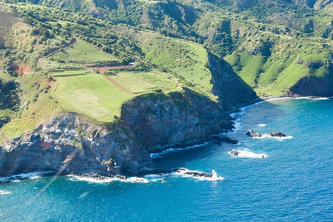 Maui Horseback Adventure at Circle M Ranch With Real Cowboys - Price and value: what you’re paying for at $185.20