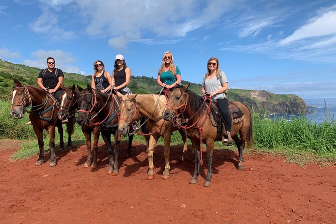 Maui Horseback Adventure at Circle M Ranch With Real Cowboys - Who should book this ride (and who should reconsider)