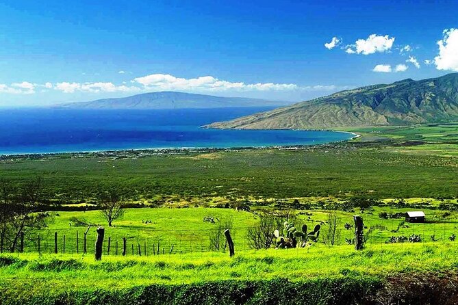 Maui Island Private Day Tour - Karen Lei’s Gallery in Kahakuloa: A Quick Arts Break and Souvenir Stop