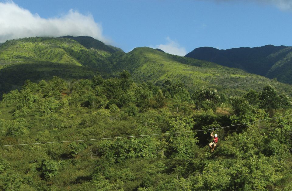 Maui: Ka'anapali 8 Line Zipline Adventure - Who This Tour Fits Best (and Who Should Skip It)