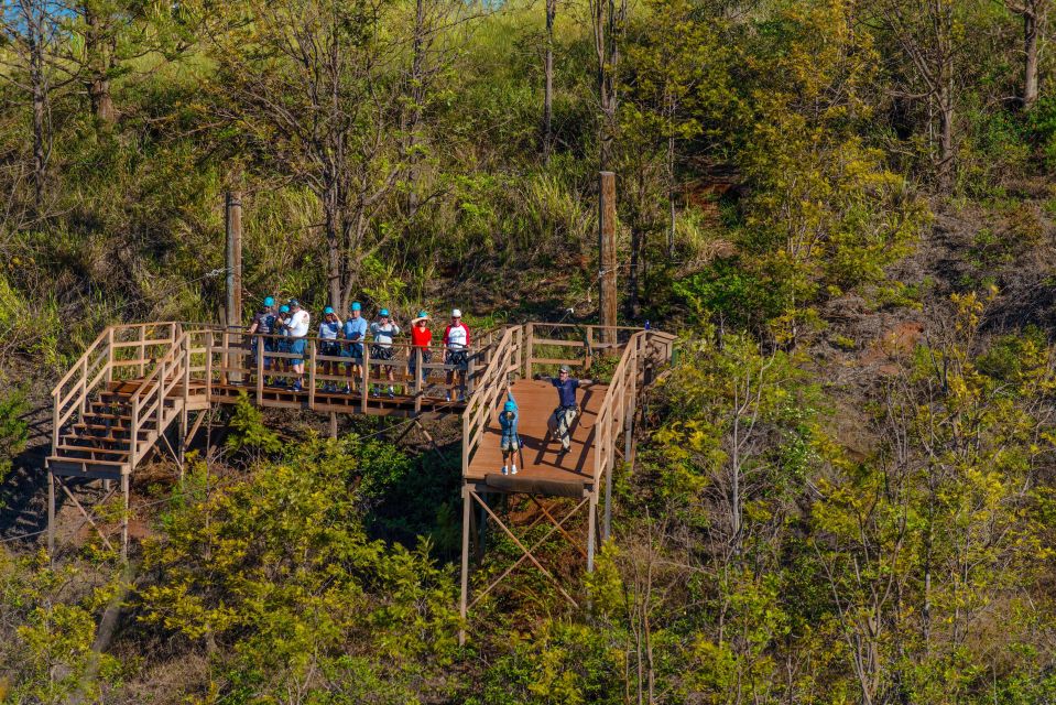 Maui: Ka'anapali 8 Line Zipline Adventure - The Maui Day Timeline: Hike, Platform, then Eight Lines in Motion