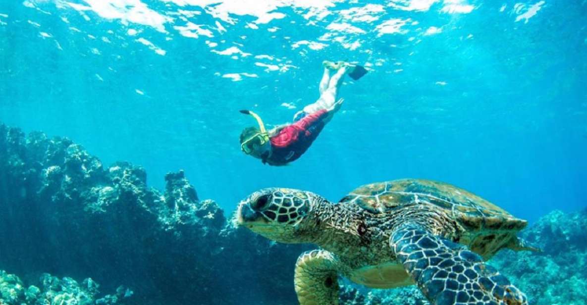 Maui: Kaanapali Beach 5-hr Snorkel w/ BBQ Lunch & Open Bar - Key Things That Make This Tour Worth Your Time