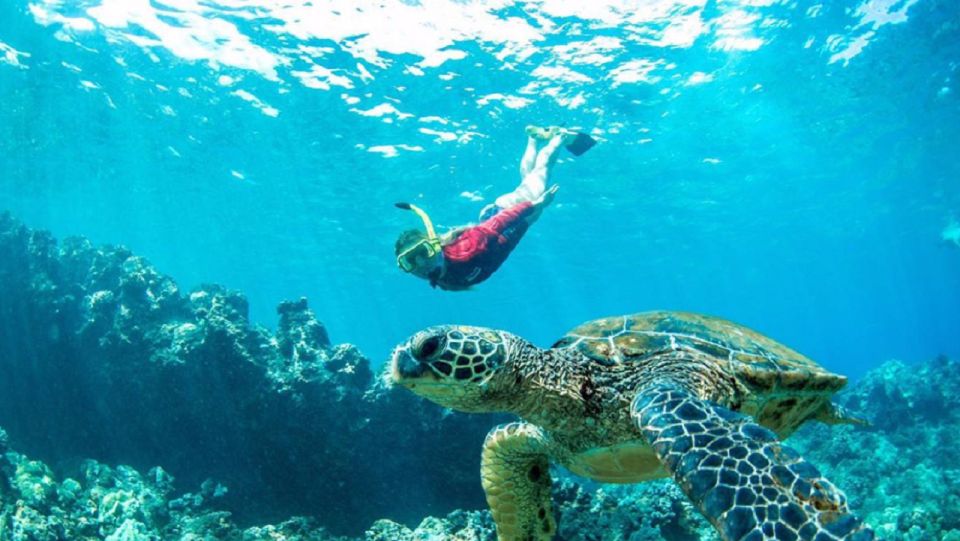 Maui: Kaanapali Beach 5-hr Snorkel w/ BBQ Lunch & Open Bar - Snorkel Sail Basics: What You Get for Your Maui Time