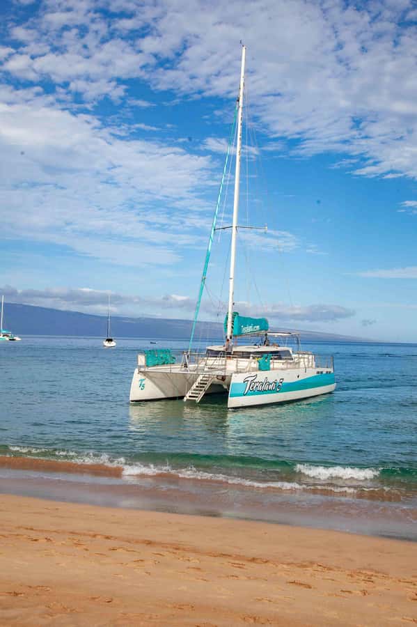 Maui: Ka'anapali Discount Whale Watch - Beach Loading Vessel - Comfort and Motion: Catamaran Benefits and Seasickness Limits