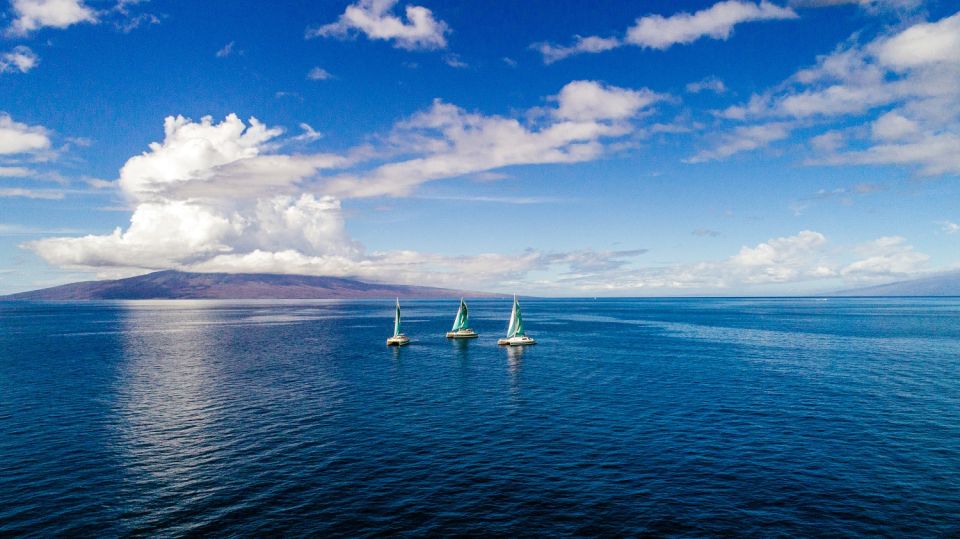Maui: Kaanapali Dolphin Watching Boat Trip with Lunch - Marine naturalist onboard: turning sightings into real understanding