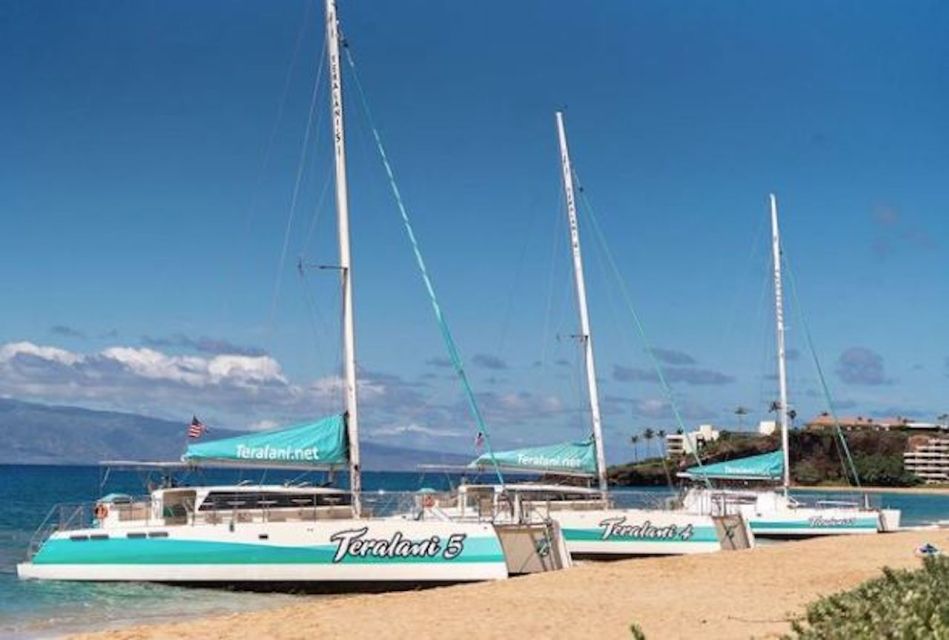 Maui: Kaanapali Dolphin Watching Boat Trip with Lunch - The 2.5-hour flow: what happens after you step onboard