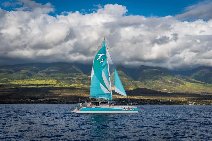 Maui: Kaanapali Whale Watching Boat with Open Bar and Food - How the crew helps you spot whales: education plus good searching