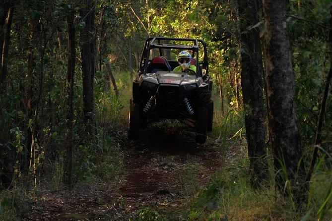 Maui: Lahaina ATV Adventure - Polaris RZR rules: drive, ride, and share a four-seater