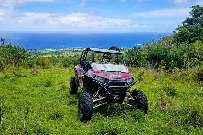 Maui: Lahaina ATV Adventure - The tree-planting eco moment (and why it lands)