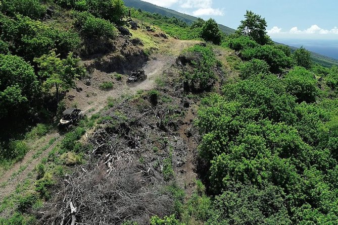 Maui: Lahaina ATV Adventure - The west side route: Pu’u Kukui Watershed Preserve terrain
