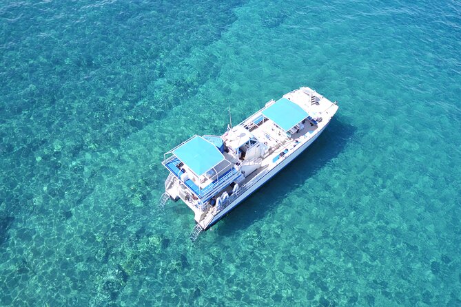 Maui Magic Adventure Snorkel: Molokini Crater and Turtle Stop - Wildlife beyond turtles: whales, dolphins, and the no-swimming rule