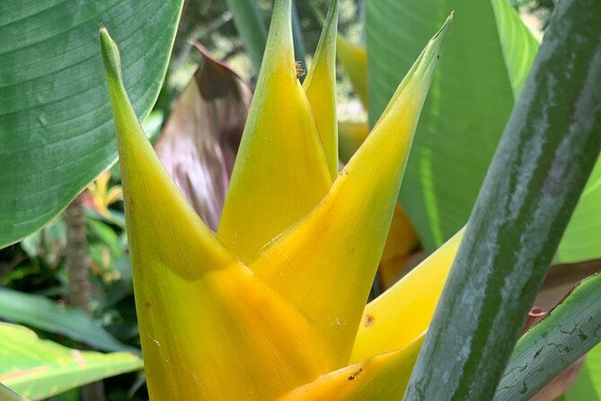 Maui Magical Waterfall and Jungle Tour: Road to Hana - Pua‘a Ka‘a State Park Waterfall Time: Photos, Restrooms, and Optional Adventure