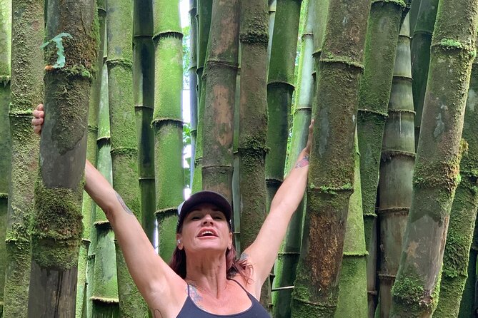 Maui Magical Waterfall and Jungle Tour: Road to Hana - Paia Meeting Point and What You’ll Get in the Van