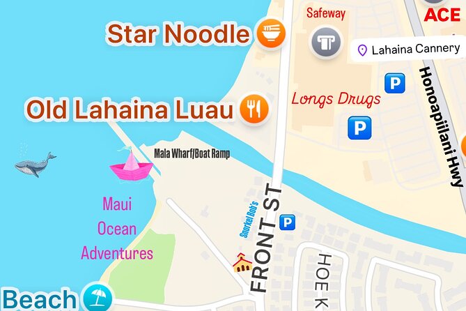 Maui Mid Day Magic Whale Watch - Midday magic on a fast Maui boat: why speed matters
