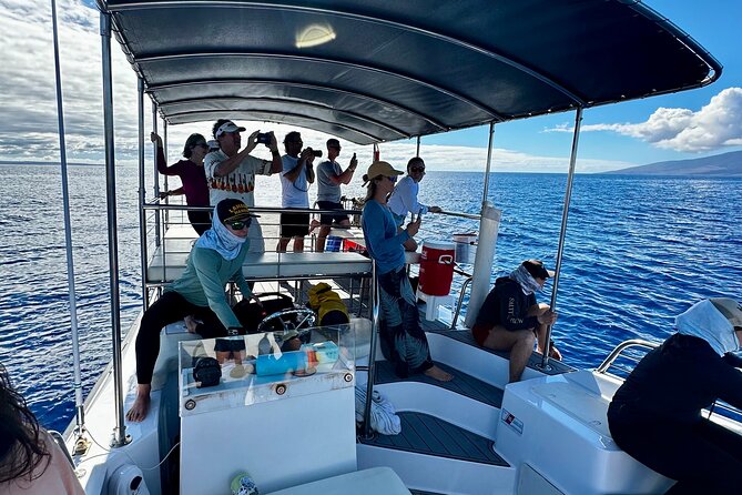 Maui Mid Day Magic Whale Watch - Cruise scenery beyond the whales: islands and Haleakalā in view