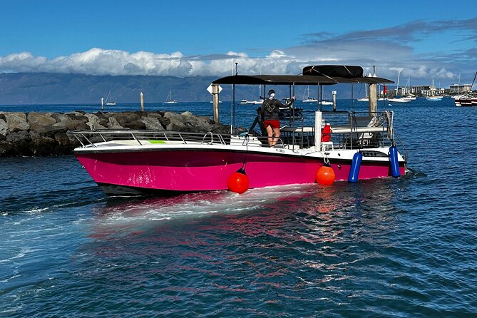 Maui Mid Day Magic Whale Watch - Who this whale watch fits best (and who should think twice)