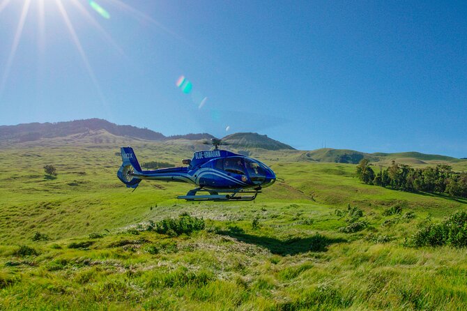 Maui & Molokai Spectacular with Exclusive Landing Helicopter Tour - Wildlife odds: what to expect (and what not to promise)