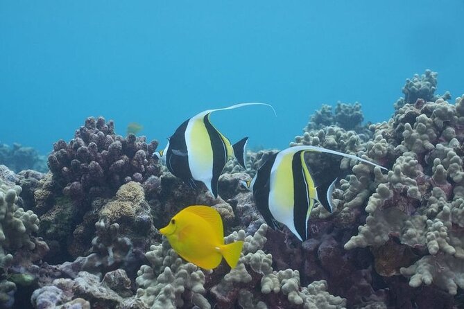 Maui: Molokini and Turtles Luxury Yacht Snorkel - The boat comfort details you actually notice
