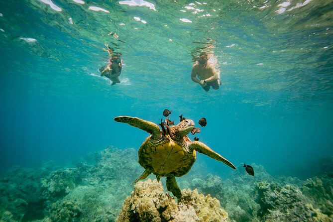 Maui: Molokini Crater and Turtle Town Snorkeling From Kihei - Weather, Rough Seas, and How the Captain Handles Plan B