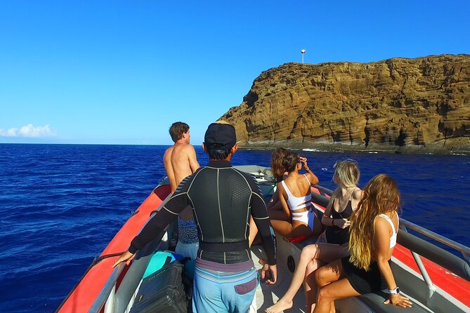 Maui: Molokini Crater and Turtle Town Snorkeling From Kihei - Price and Value: Is $179 a Good Deal for Molokini + Turtles?