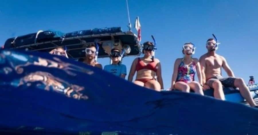 Maui: Molokini Crater and Turtle Town Snorkeling Tour - 3 hr - Molokini Crater without the crowd pressure