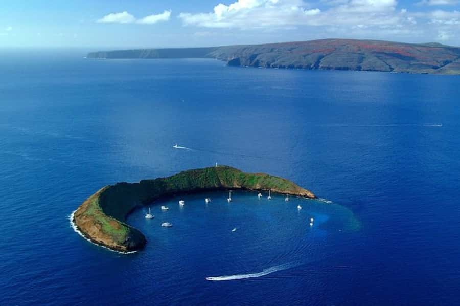 Maui: Molokini Express Snorkeling Tour - 2 hours - Molokini Express: the reef that looks fake until you’re there