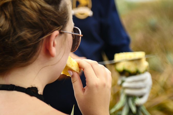 Maui Pineapple Farm Tour in Haliimaile - The take-home pineapple: how to make it painless