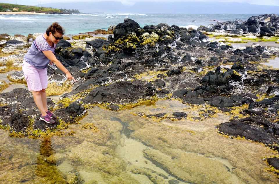 Maui: Private Guided Halfway to Hana Tour - Key things that make this Halfway to Hāna day different