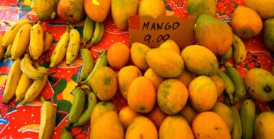 Maui: Private Guided Halfway to Hana Tour - Private Pace on the Road to Hāna: Scenic or Active, Your Call