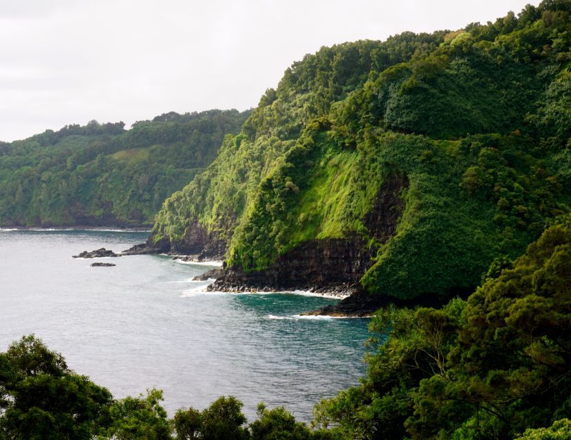 Maui: Private Guided Halfway to Hana Tour - North Shore Wave Watching Meets Real Scenery