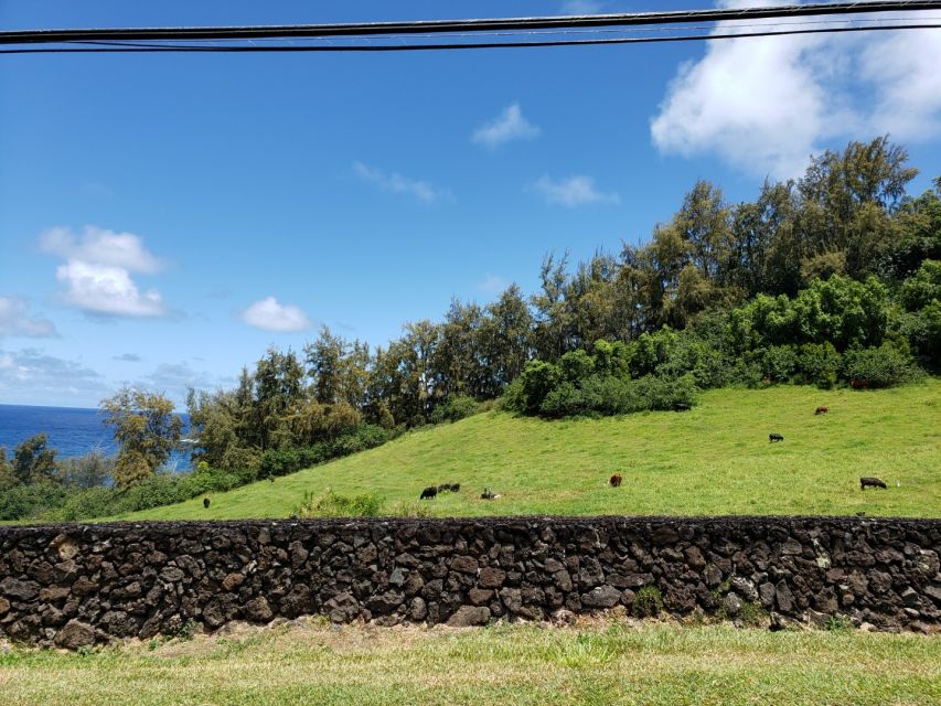 Maui : Private : Road to Hana Day Trip : Just For Your Group - Paia area to Hana side: the easy swim stop at Pua’a Ka’a