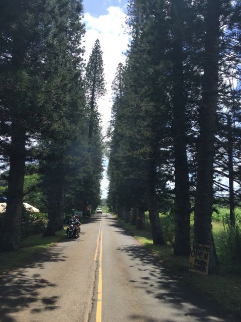 Maui : Private : Road to Hana Day Trip : Just For Your Group - Pickup, the bus day, and staying on schedule without feeling stressed
