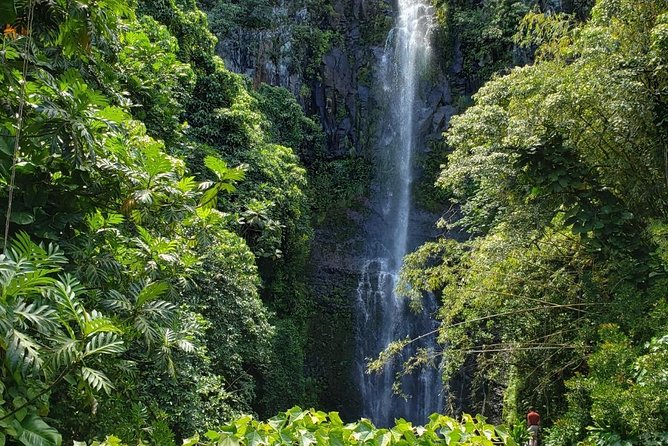 Maui Private Tour - Road to Hana Adventure - Just for Your Group - Private Road to Hana: the biggest win is letting someone else drive