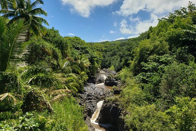 Maui Private Tour - Road to Hana Adventure - Just for Your Group - Keanae Peninsula and banana bread stop: a classic slice of local life