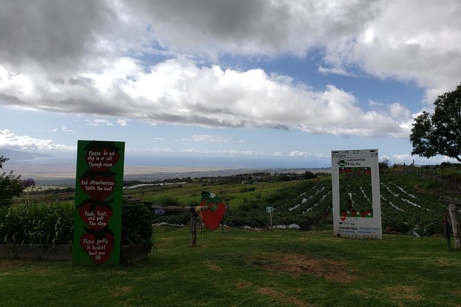 Maui Private Tour - Road to Hana Adventure - Just for Your Group - Pua’a Ka’a State Park: the swim-and-waterfall reset