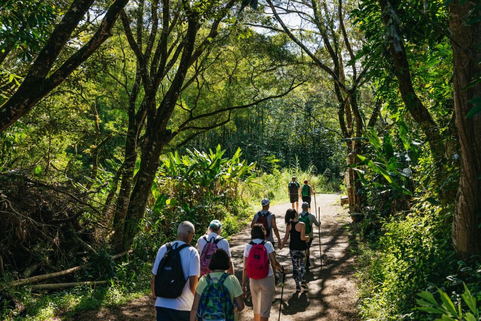 Maui: Rainforest Waterfalls Guided Hike with Picnic Lunch - Should you book Hike Maui’s rainforest waterfalls hike?