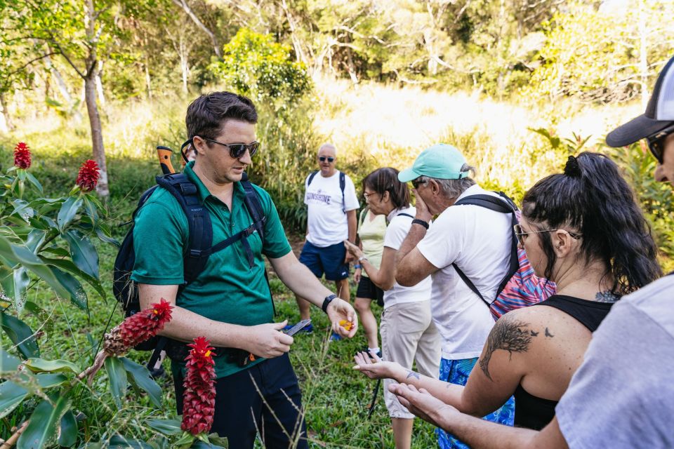 Maui: Rainforest Waterfalls Guided Hike with Picnic Lunch - Kahului meeting point to East Maui streams: how the day starts