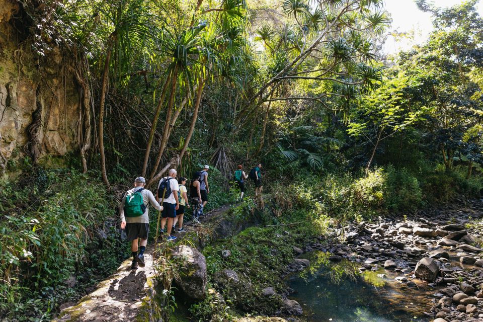 Maui: Rainforest Waterfalls Guided Hike with Picnic Lunch - Picnic lunch by the falls: what you’re really eating