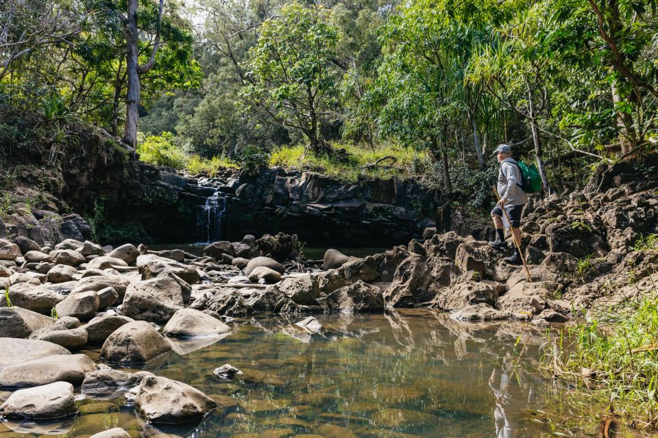 Maui: Rainforest Waterfalls Guided Hike with Picnic Lunch - What to bring (and what to skip): the difference between fun and frustration