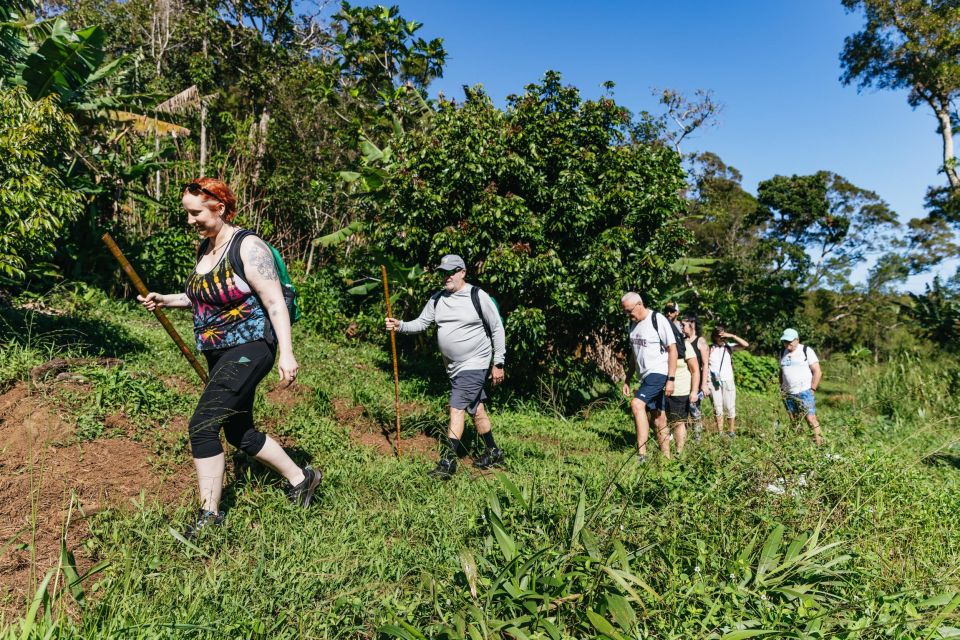 Maui: Rainforest Waterfalls Guided Hike with Picnic Lunch - Group pace and difficulty: who will love it, and who should be picky