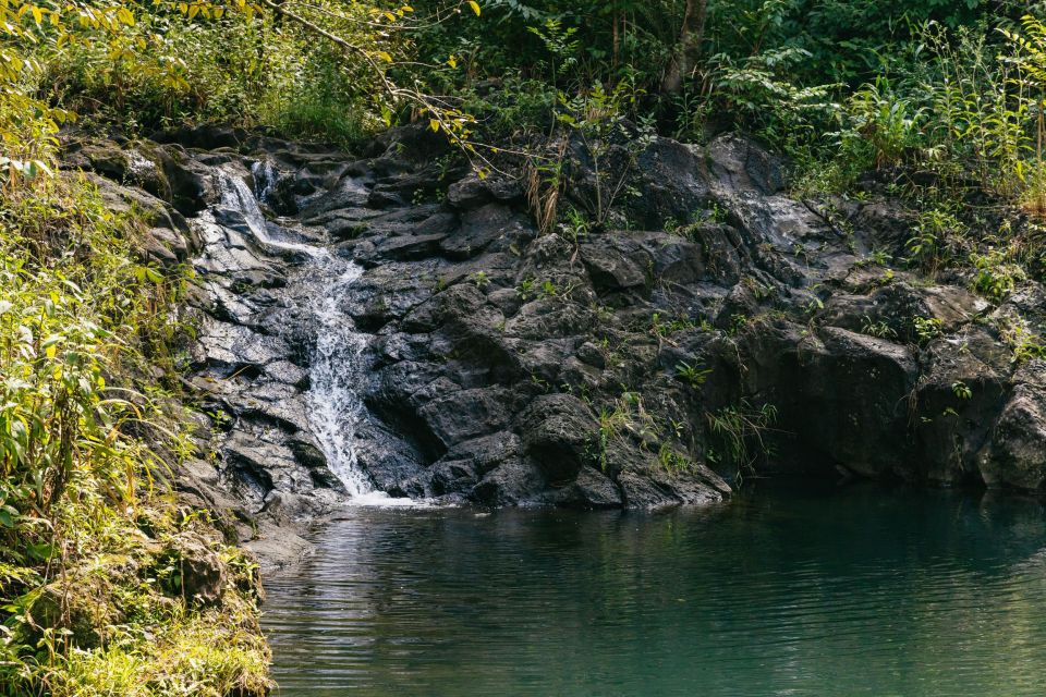 Maui: Rainforest Waterfalls Guided Hike with Picnic Lunch - Value check: is $187 for 5 hours worth it?