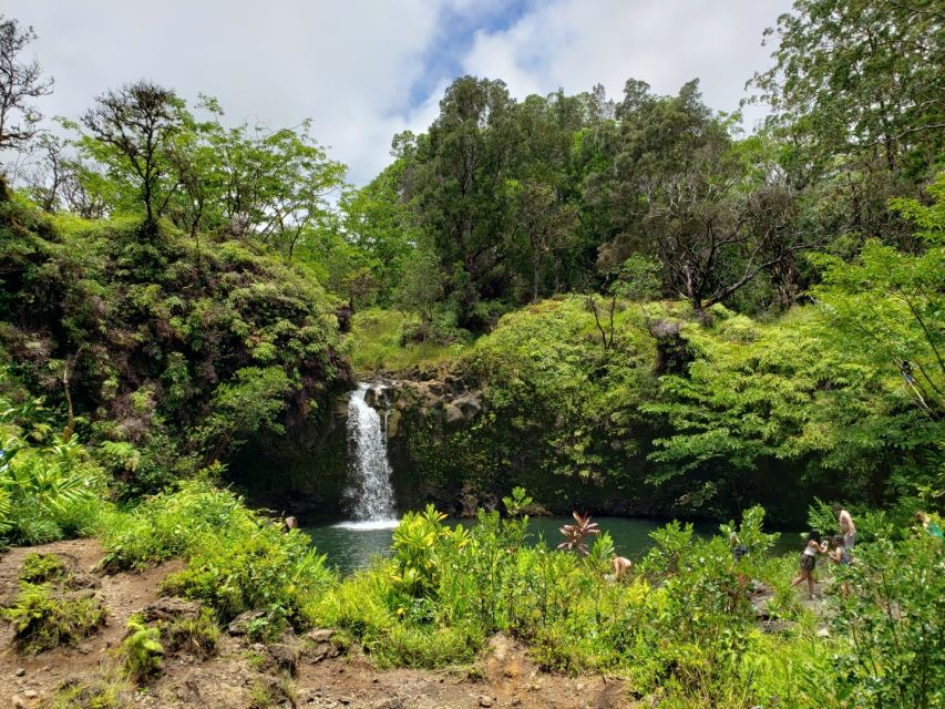 Maui: Road to Hana Adventure with Breakfast & Lunch - Leaving Maui: Why the Hana Highway Turns Make This Worth a Tour Bus