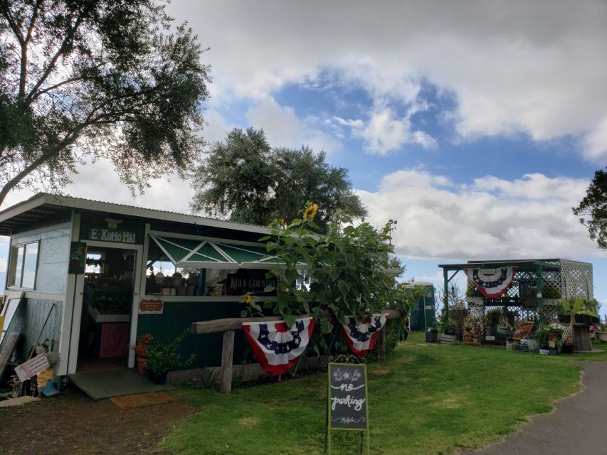 Maui: Road to Hana Adventure with Breakfast & Lunch - Pickup Timing and Meeting Points (So You Don’t Lose Morning Momentum)