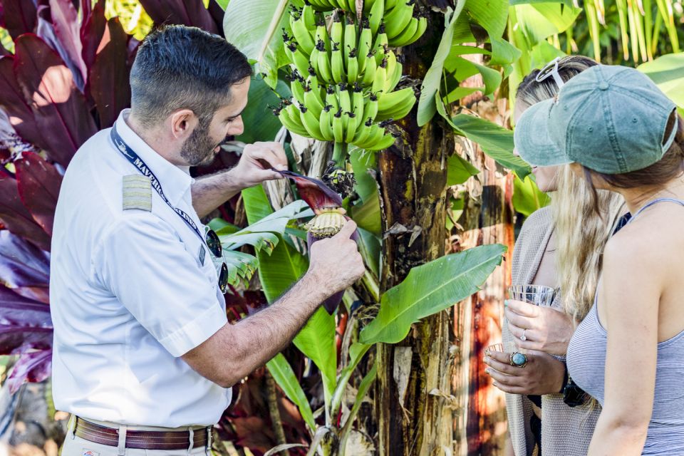 Maui: Road to Hana Helicopter & Waterfall Tour with Landing - Who Should Book (And Who Should Rethink It)