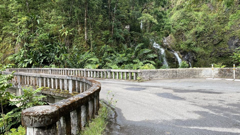 Maui: Road to Hana Private Adventure Tour with Luxury SUV - Auntie Virgie’s botanical flower farm and Hana Town
